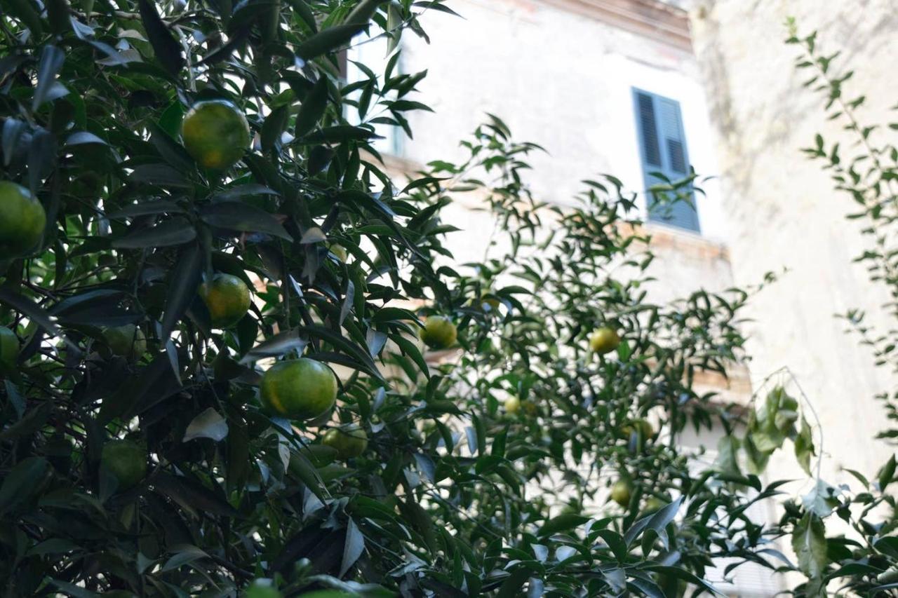 Giardino D'Atri Daire Napoli Dış mekan fotoğraf